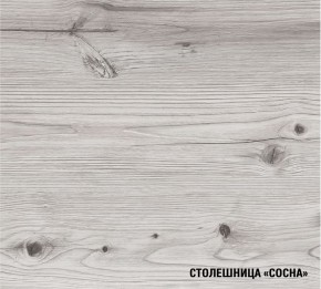 АСАЯ Кухонный гарнитур Экстра 2 (3000 мм) ПМ в Перми - perm.ok-mebel.com | фото 8