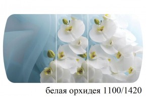 БОСТОН - 3 Стол раздвижной 1100/1420 опоры Триумф в Перми - perm.ok-mebel.com | фото 9