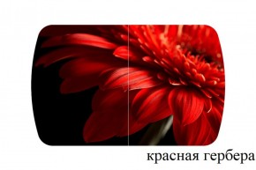 БОСТОН - 3 Стол раздвижной 1100/1420 опоры Триумф в Перми - perm.ok-mebel.com | фото 18