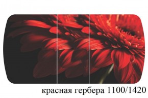БОСТОН - 3 Стол раздвижной 1100/1420 опоры Триумф в Перми - perm.ok-mebel.com | фото 19