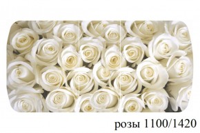 БОСТОН - 3 Стол раздвижной 1100/1420 опоры Триумф в Перми - perm.ok-mebel.com | фото 37