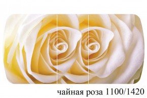 БОСТОН - 3 Стол раздвижной 1100/1420 опоры Триумф в Перми - perm.ok-mebel.com | фото 48