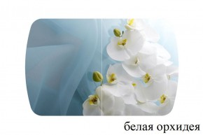 БОСТОН - 3 Стол раздвижной 1100/1420 опоры Триумф в Перми - perm.ok-mebel.com | фото 8