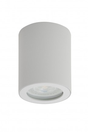 DK3007-WH Накладной светильник влагозащ., IP 44, 15 Вт, GU10, белый, алюминий в Перми - perm.ok-mebel.com | фото