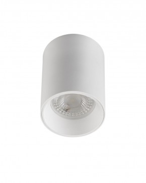DK3110-WH Светильник накладной IP 20, 10 Вт, GU5.3, LED, белый, пластик в Перми - perm.ok-mebel.com | фото