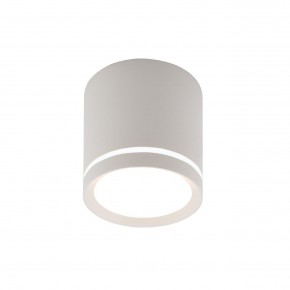 DK4013-WH Светильник накладной IP 20, 5 Вт, LED 4000, белый, алюминий/акрил в Перми - perm.ok-mebel.com | фото