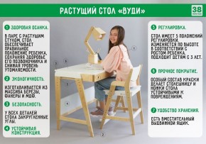 Комплект растущий стол и стул с чехлом 38 попугаев «Вуди» (Серый, Береза, Беж) в Перми - perm.ok-mebel.com | фото