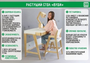 Комплект растущий стол и стул с чехлом 38 попугаев «Вуди» (Серый, Береза, Салют) в Перми - perm.ok-mebel.com | фото
