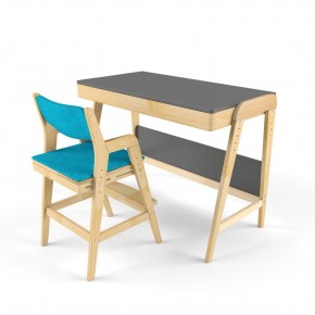 Комплект растущий стол и стул с чехлом 38 попугаев «Вуди» (Серый, Без покрытия, Лазурь) в Перми - perm.ok-mebel.com | фото