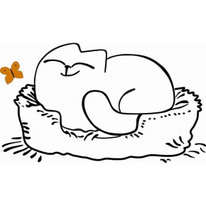 Кровать двухуровневая Кот № 900.1 ЛЕВАЯ (туя светлая/белый) в Перми - perm.ok-mebel.com | фото 2