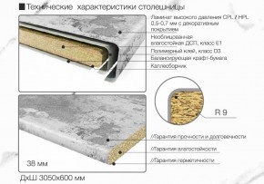 Кухонный фартук со столешницей (А-06) в едином стиле (3050 мм) в Перми - perm.ok-mebel.com | фото 6