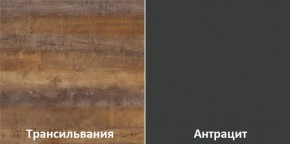 Кухонный гарнитур угловой Трансильвания 2400x1600 мм (Стол. 38 мм) в Перми - perm.ok-mebel.com | фото 3