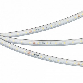 Лента светодиодная Arlight IC-PS-A60-10mm 24V 050656 в Перми - perm.ok-mebel.com | фото