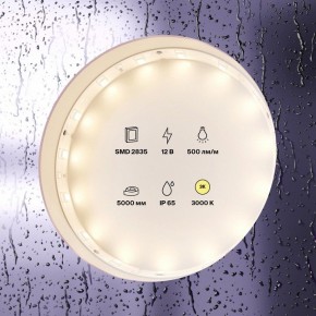 Лента светодиодная Maytoni Led strip 10105 в Перми - perm.ok-mebel.com | фото 2