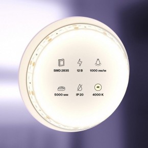 Лента светодиодная Maytoni Led strip 10109 в Перми - perm.ok-mebel.com | фото 2