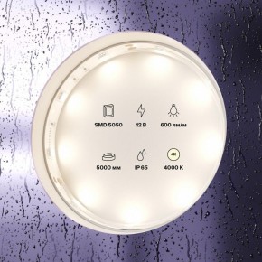 Лента светодиодная Maytoni Led strip 10124 в Перми - perm.ok-mebel.com | фото 3