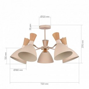 Люстра на штанге EVOLUCE VISTA SLE1256-502-05 в Перми - perm.ok-mebel.com | фото 8