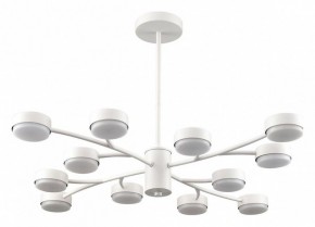Люстра на штанге Lumion TORINA 8265/12 в Перми - perm.ok-mebel.com | фото