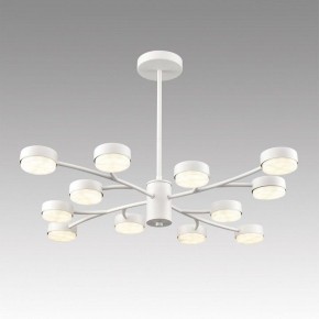 Люстра на штанге Lumion TORINA 8265/12 в Перми - perm.ok-mebel.com | фото 3