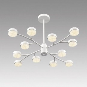 Люстра на штанге Lumion TORINA 8265/12 в Перми - perm.ok-mebel.com | фото 5
