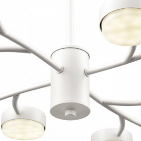 Люстра на штанге Lumion TORINA 8265/12 в Перми - perm.ok-mebel.com | фото 8