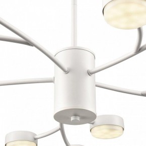 Люстра на штанге Lumion TORINA 8265/15 в Перми - perm.ok-mebel.com | фото 8