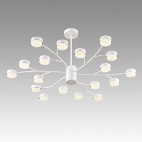 Люстра на штанге Lumion TORINA 8265/18 в Перми - perm.ok-mebel.com | фото 5
