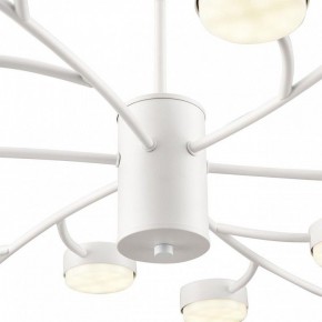 Люстра на штанге Lumion TORINA 8265/18 в Перми - perm.ok-mebel.com | фото 8