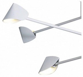 Люстра на штанге Mantra Capuccina 7570 в Перми - perm.ok-mebel.com | фото 4