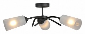 Люстра на штанге Vitaluce V2850 V2850-1/3PL в Перми - perm.ok-mebel.com | фото 3