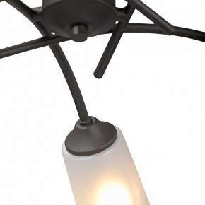 Люстра на штанге Vitaluce V2850 V2850-1/5PL в Перми - perm.ok-mebel.com | фото 6
