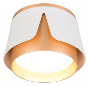 Накладной светильник Arte Lamp Amaks A8028PL-1WH в Перми - perm.ok-mebel.com | фото