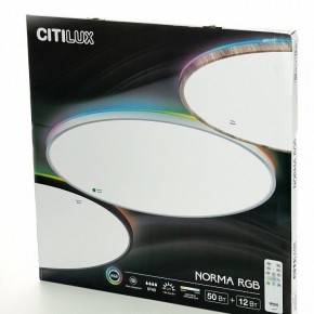 Накладной светильник Citilux NORMA CL749600 в Перми - perm.ok-mebel.com | фото 8
