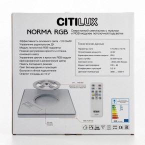 Накладной светильник Citilux Norma CL749K301 в Перми - perm.ok-mebel.com | фото 10