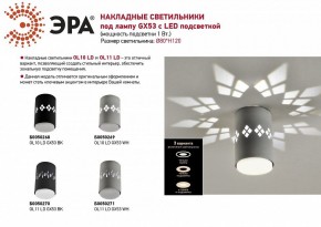 Накладной светильник Эра OL10 Б0050268 в Перми - perm.ok-mebel.com | фото 5