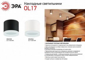 Накладной светильник Эра OL17 GX53 BK Б0049028 в Перми - perm.ok-mebel.com | фото 3