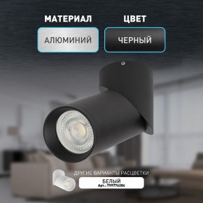 Накладной светильник Эра OL18 BK Б0054385 в Перми - perm.ok-mebel.com | фото 2