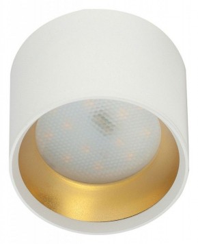 Накладной светильник Эра OL8 GX53 WH/GD Б0048536 в Перми - perm.ok-mebel.com | фото 2