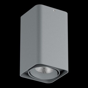 Накладной светильник Lightstar Monocco 052139-IP65 в Перми - perm.ok-mebel.com | фото 2