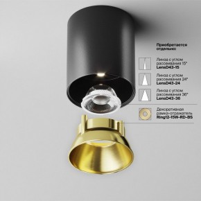 Накладной светильник Maytoni Alfa LED C064CL-12W4K-RD-B в Перми - perm.ok-mebel.com | фото 3
