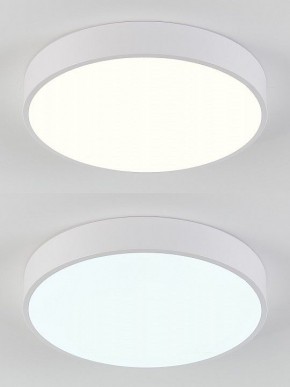 Накладной светильник Natali Kovaltseva  LED LAMPS 81111/5C в Перми - perm.ok-mebel.com | фото 4