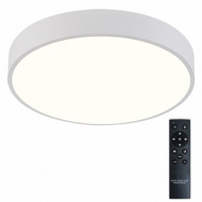 Накладной светильник Natali Kovaltseva  LED LAMPS 81112/5C в Перми - perm.ok-mebel.com | фото 2