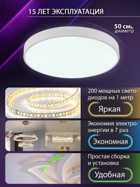 Накладной светильник Natali Kovaltseva  LED LAMPS 81112/5C в Перми - perm.ok-mebel.com | фото 4