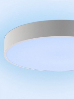 Накладной светильник Natali Kovaltseva MODERN LED LAMPS 81105/1C в Перми - perm.ok-mebel.com | фото 11