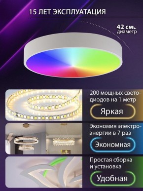 Накладной светильник Natali Kovaltseva MODERN LED LAMPS 81105/1C в Перми - perm.ok-mebel.com | фото 6