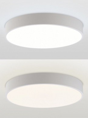 Накладной светильник Natali Kovaltseva MODERN LED LAMPS 81105/2C в Перми - perm.ok-mebel.com | фото 4