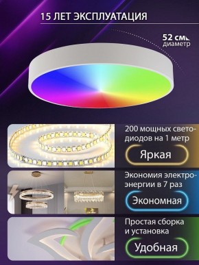 Накладной светильник Natali Kovaltseva MODERN LED LAMPS 81105/2C в Перми - perm.ok-mebel.com | фото 6