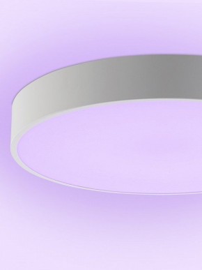 Накладной светильник Natali Kovaltseva MODERN LED LAMPS 81105/2C в Перми - perm.ok-mebel.com | фото 9