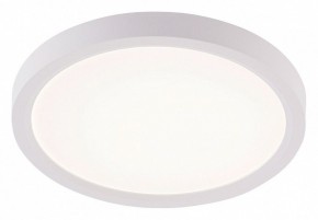 Накладной светильник Natali Kovaltseva PLAIN LED LAMPS 81113/1C в Перми - perm.ok-mebel.com | фото