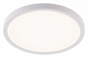 Накладной светильник Natali Kovaltseva PLAIN LED LAMPS 81113/2C в Перми - perm.ok-mebel.com | фото